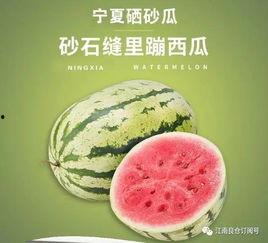 快乐吃瓜军网红康欣,快乐吃瓜军领军人物，揭秘娱乐圈幕后故事